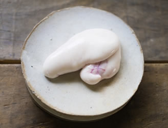 白子
